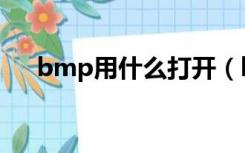 bmp用什么打开（bmp格式怎么打开）