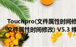 Touchpro(文件属性时间修改) V5.3 绿色版（Touchpro(文件属性时间修改) V5.3 绿色版功能简介）