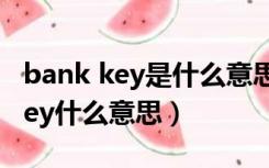 bank key是什么意思（人名币结算要bank key什么意思）