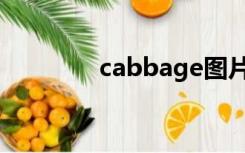 cabbage图片（cabbage）