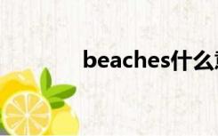 beaches什么意思（beach）