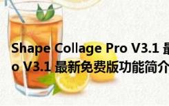 Shape Collage Pro V3.1 最新免费版（Shape Collage Pro V3.1 最新免费版功能简介）