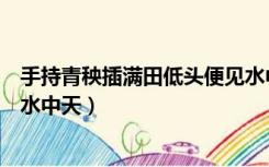 手持青秧插满田低头便见水中天（手把青秧种福田低头便见水中天）