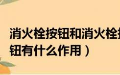 消火栓按钮和消火栓报警按钮区别（消火栓按钮有什么作用）