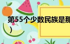 第55个少数民族是那个省（第55个少数民族）