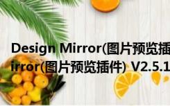 Design Mirror(图片预览插件) V2.5.1 Mac版（Design Mirror(图片预览插件) V2.5.1 Mac版功能简介）