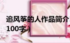 追风筝的人作品简介100字（追风筝的人简介100字）