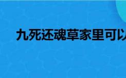 九死还魂草家里可以养吗（九死还魂草）