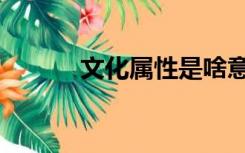 文化属性是啥意思（文化属性）