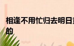 相逢不用忙归去明日黄花蝶也愁是什么时候写的