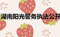 湖南阳光警务执法公开系统祁东十一月十一日