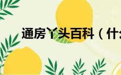 通房丫头百科（什么叫做通房大丫头）