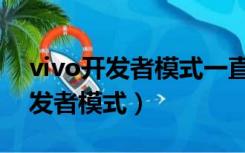 vivo开发者模式一直开着有影响吗（vivo开发者模式）