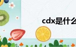 cdx是什么车（cdx）