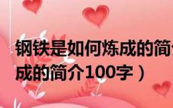 钢铁是如何炼成的简介100字（钢铁是怎样炼成的简介100字）