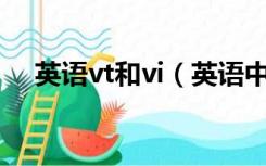 英语vt和vi（英语中v vi vt有什么区别）