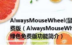 AlwaysMouseWheel(鼠标滚轮增强) 64位 V5.35 绿色免费版（AlwaysMouseWheel(鼠标滚轮增强) 64位 V5.35 绿色免费版功能简介）