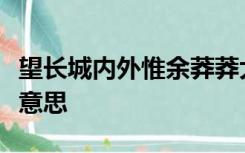 望长城内外惟余莽莽大河上下顿失滔滔是什么意思