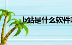 b站是什么软件啊（B站是什么）