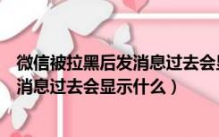 微信被拉黑后发消息过去会显示什么提示（微信被拉黑后发消息过去会显示什么）