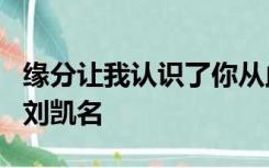 缘分让我认识了你从此我就爱上你是什么歌名刘凯名