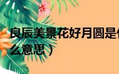 良辰美景花好月圆是什么意思（花好月圆是什么意思）