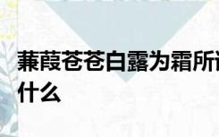 蒹葭苍苍白露为霜所谓伊人在水一方下一句是什么