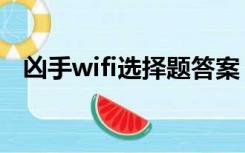 凶手wifi选择题答案（凶手wifi阅读答案）