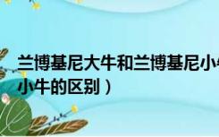 兰博基尼大牛和兰博基尼小牛有什么区别（兰博基尼大牛和小牛的区别）