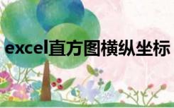 excel直方图横纵坐标（excel作图横纵坐标）