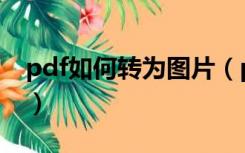 pdf如何转为图片（pdf怎么转换成图片格式）