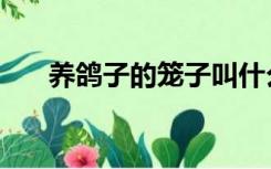 养鸽子的笼子叫什么（养鸽子的笼子）