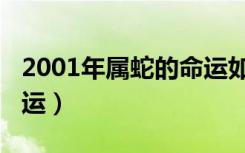 2001年属蛇的命运如何（2001年属蛇人的命运）