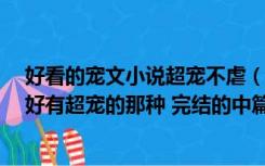 好看的宠文小说超宠不虐（现代宠文小说 剧情不要虐的 最好有超宠的那种 完结的中篇或）