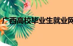 广西高校毕业生就业网（高校毕业生就业网）