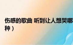 伤感的歌曲 听到让人想哭哪种（伤感的歌曲听到让人想哭哪种）