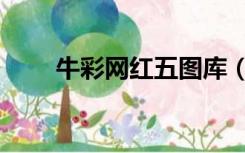 牛彩网红五图库（红牛网六彩资料）