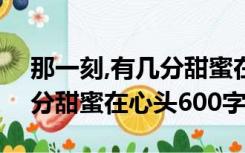 那一刻,有几分甜蜜在心头500字（那一刻几分甜蜜在心头600字）