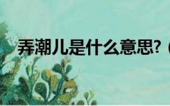 弄潮儿是什么意思?（弄潮儿是什么意思）