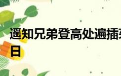 遥知兄弟登高处遍插茱萸少一人写的是什么节日