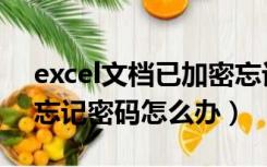 excel文档已加密忘记密码（excel文件加密忘记密码怎么办）