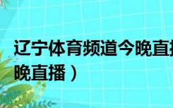 辽宁体育频道今晚直播篮球（辽宁体育频道今晚直播）