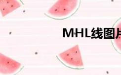 MHL线图片（mhl线）