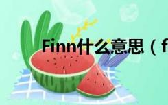 Finn什么意思（finning什么意思）