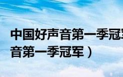 中国好声音第一季冠军总决赛视频（中国好声音第一季冠军）