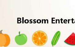 Blossom Entertainment经纪公司