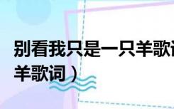 别看我只是一只羊歌词改编（别看我只是一只羊歌词）