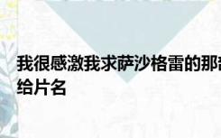 我很感激我求萨沙格雷的那部关于办公室和黑人的电影没有给片名