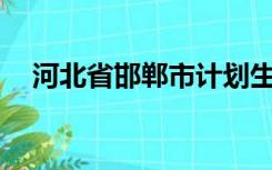 河北省邯郸市计划生育网上办事大厅app