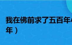 我在佛前求了五百年小说（我在佛前求了五百年）